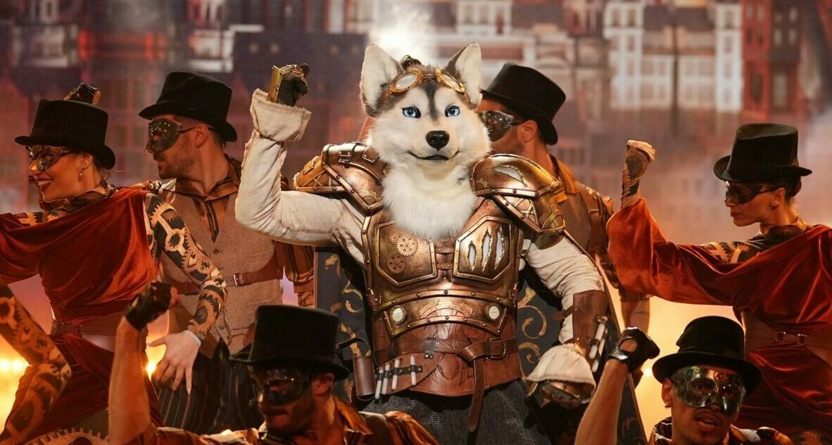 Le husky a décroché la victoire. PHOTO Laurent VU/TF1